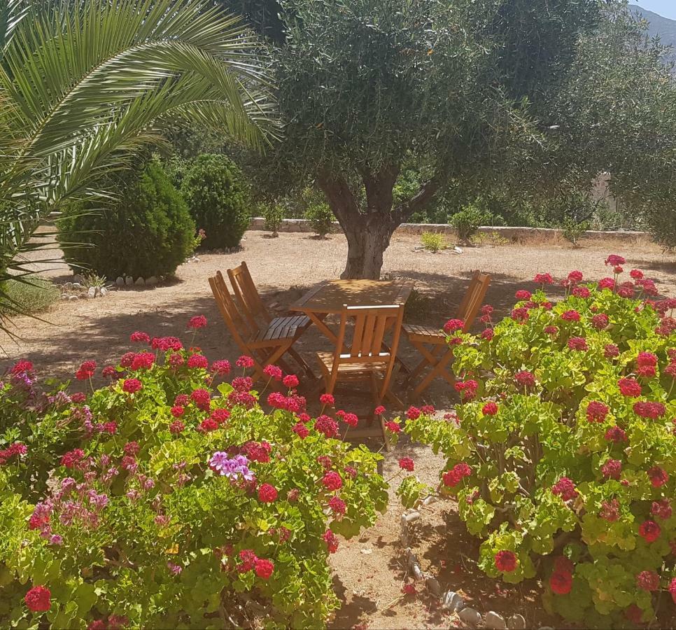 Tilos Fantasy Livadia  Esterno foto